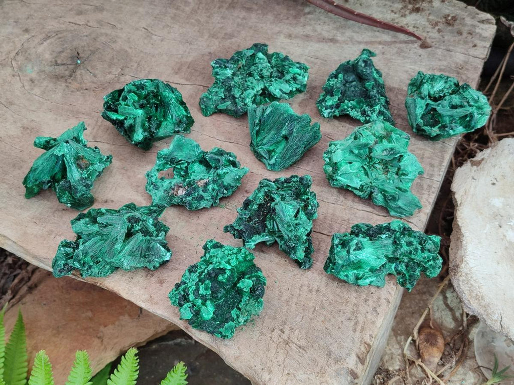 Natural Silky Malachite Specimens x 12 From Kasompe, Congo - Toprock Gemstones and Minerals 