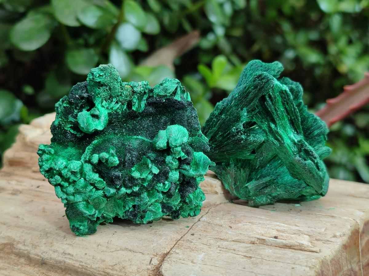 Natural Silky Malachite Specimens x 12 From Kasompe, Congo - Toprock Gemstones and Minerals 
