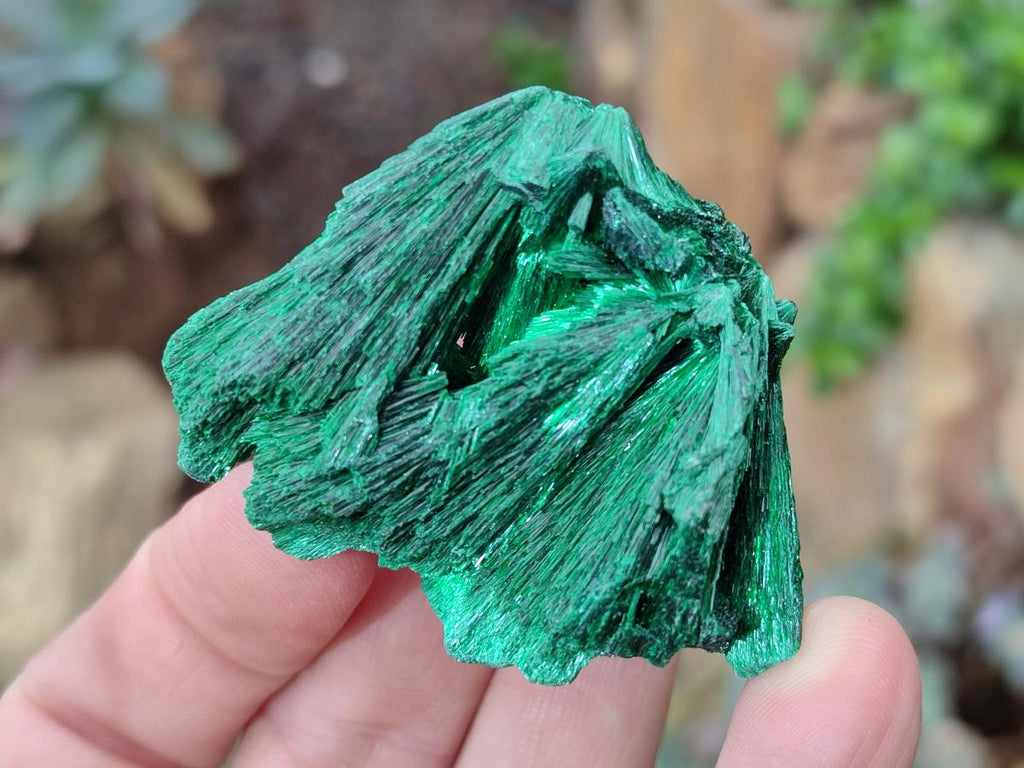 Natural Silky Malachite Specimens x 12 From Kasompe, Congo - Toprock Gemstones and Minerals 