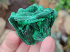 Natural Silky Malachite Specimens x 12 From Kasompe, Congo - Toprock Gemstones and Minerals 