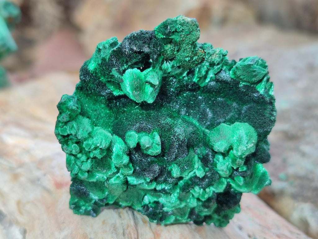 Natural Silky Malachite Specimens x 12 From Kasompe, Congo - Toprock Gemstones and Minerals 