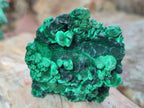Natural Silky Malachite Specimens x 12 From Kasompe, Congo - Toprock Gemstones and Minerals 