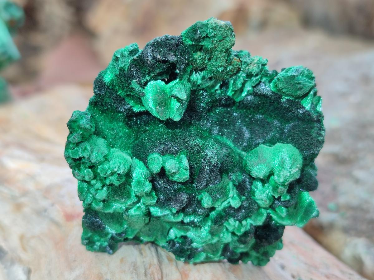 Natural Silky Malachite Specimens x 12 From Kasompe, Congo - Toprock Gemstones and Minerals 