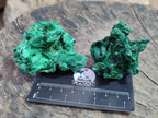 Natural Silky Malachite Specimens x 12 From Kasompe, Congo - Toprock Gemstones and Minerals 