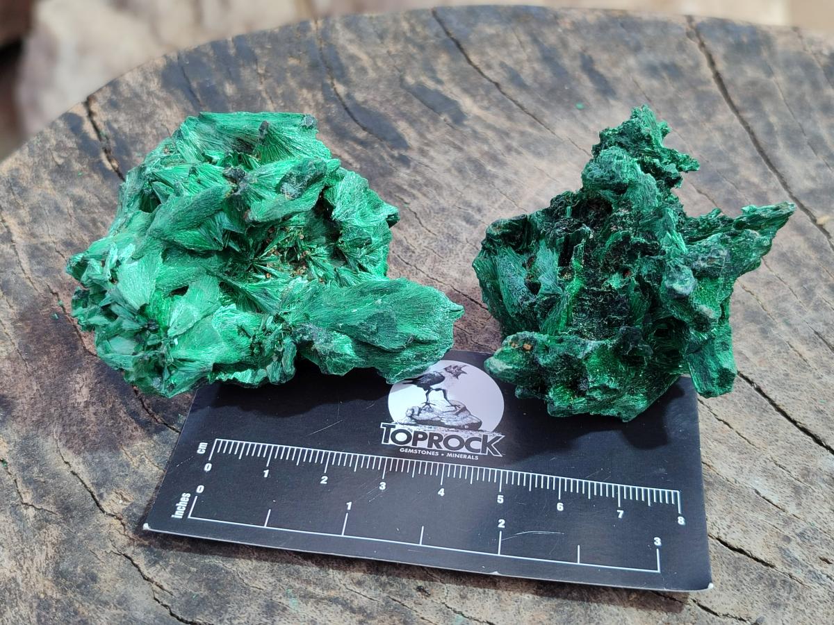 Natural Silky Malachite Specimens x 12 From Kasompe, Congo - Toprock Gemstones and Minerals 