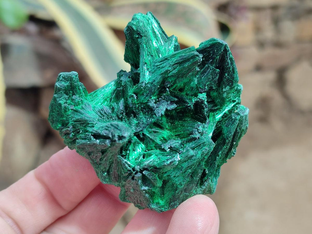 Natural Silky Malachite Specimens x 12 From Kasompe, Congo - Toprock Gemstones and Minerals 
