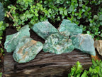 Natural Large Swazi Jade Cobbed Specimens x 6 From Swaziland - Toprock Gemstones and Minerals 