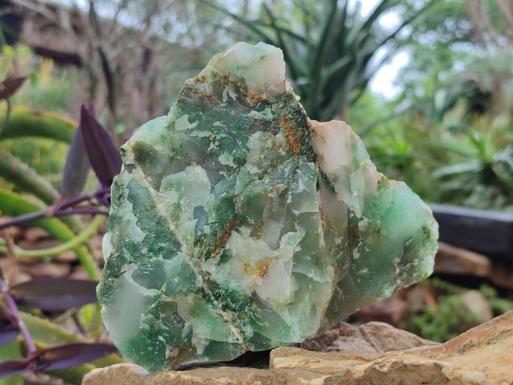 Natural Large Swazi Jade Cobbed Specimens x 6 From Swaziland - Toprock Gemstones and Minerals 