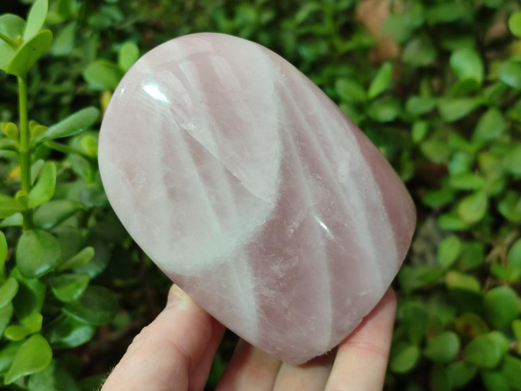 Polished Rose Quartz Standing Display Pieces x 6 From Zimbabwe - Toprock Gemstones and Minerals 