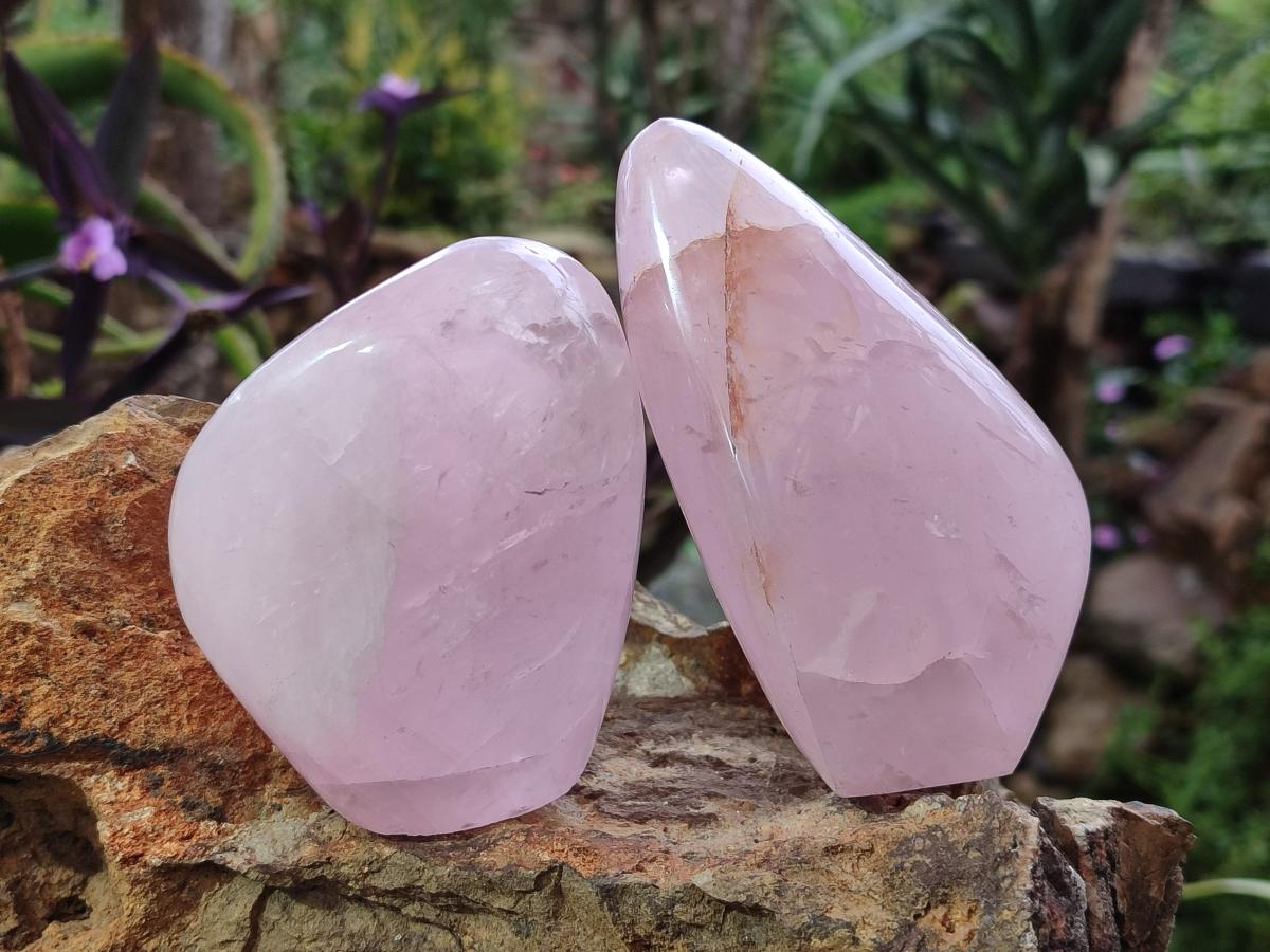 Polished Rose Quartz Standing Display Pieces x 6 From Zimbabwe - Toprock Gemstones and Minerals 