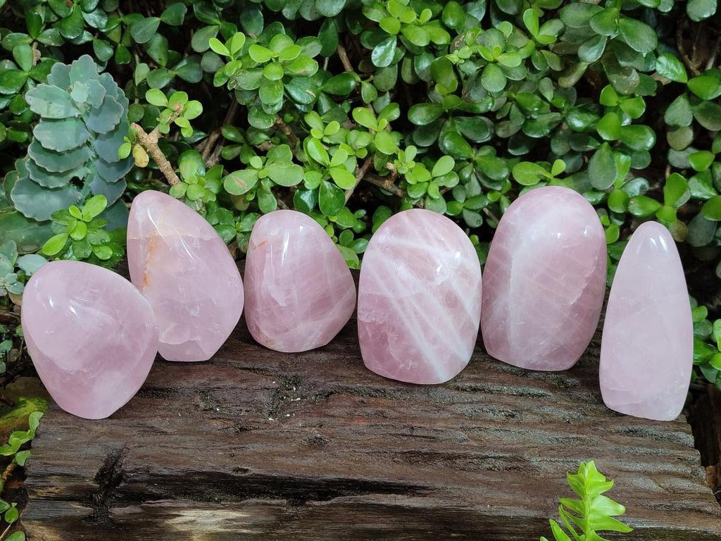 Polished Rose Quartz Standing Display Pieces x 6 From Zimbabwe - Toprock Gemstones and Minerals 