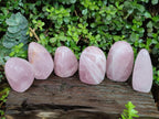 Polished Rose Quartz Standing Display Pieces x 6 From Zimbabwe - Toprock Gemstones and Minerals 