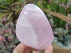 Polished Rose Quartz Standing Display Pieces x 6 From Zimbabwe - Toprock Gemstones and Minerals 
