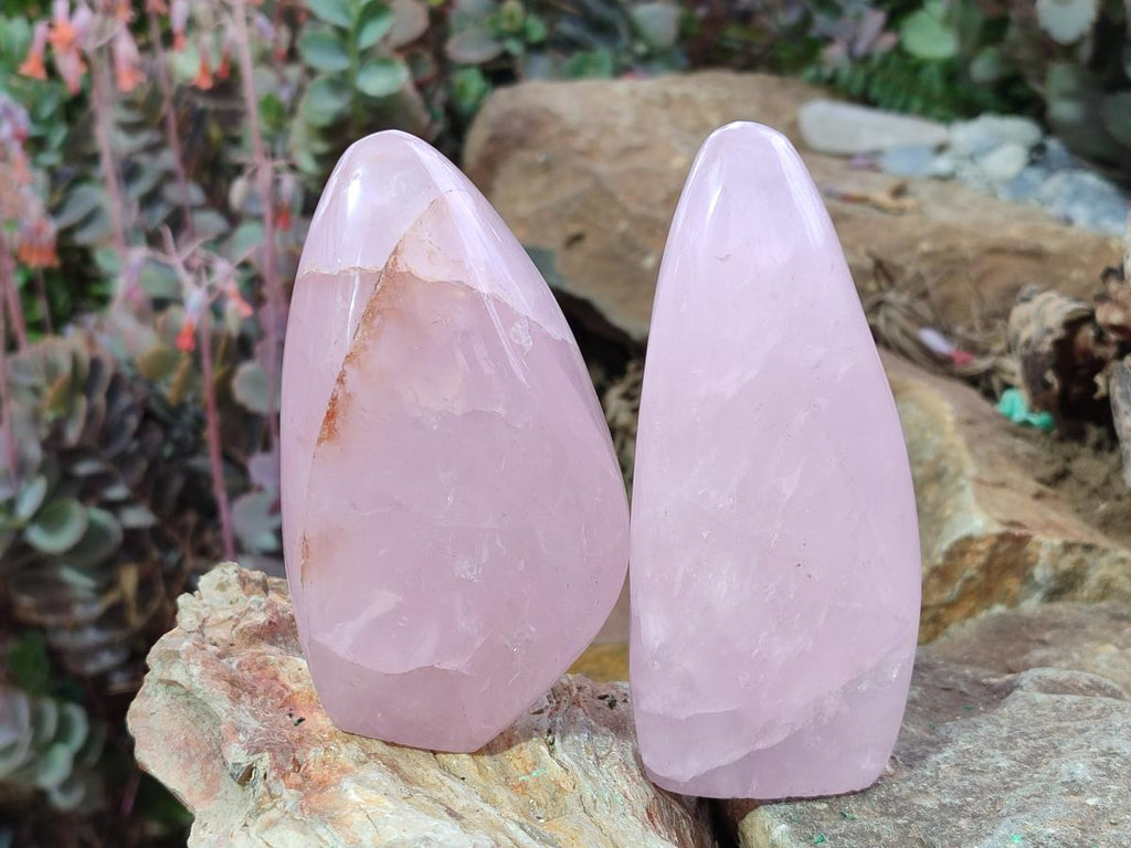 Polished Rose Quartz Standing Display Pieces x 6 From Zimbabwe - Toprock Gemstones and Minerals 