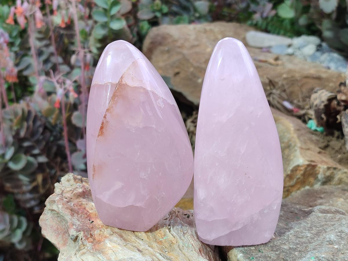 Polished Rose Quartz Standing Display Pieces x 6 From Zimbabwe - Toprock Gemstones and Minerals 