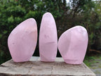 Polished Rose Quartz Standing Display Pieces x 6 From Zimbabwe - Toprock Gemstones and Minerals 