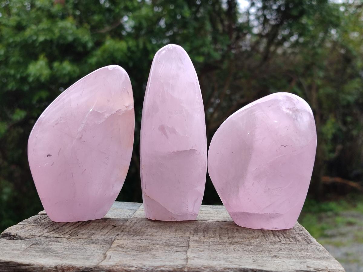 Polished Rose Quartz Standing Display Pieces x 6 From Zimbabwe - Toprock Gemstones and Minerals 