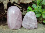 Polished Rose Quartz Standing Display Pieces x 6 From Zimbabwe - Toprock Gemstones and Minerals 