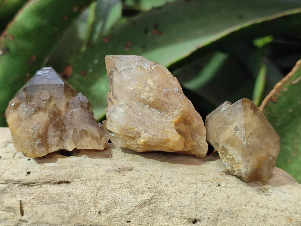 Natural Cascading Smokey Luena Citrine Quartz Crystals and Clusters x 35 From Luena, Congo - Toprock Gemstones and Minerals 
