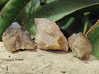 Natural Cascading Smokey Luena Citrine Quartz Crystals and Clusters x 35 From Luena, Congo - Toprock Gemstones and Minerals 