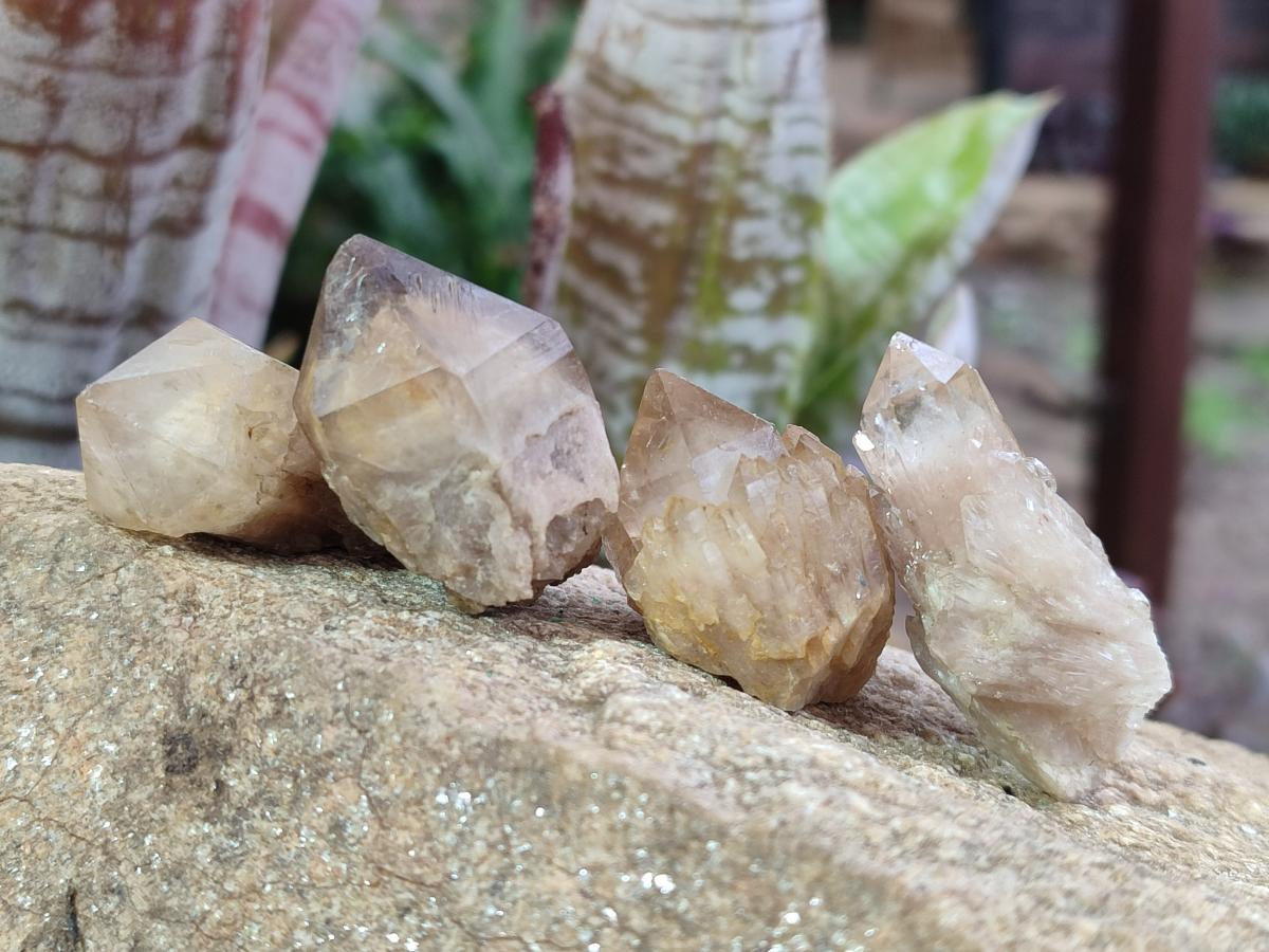 Natural Cascading Smokey Luena Citrine Quartz Crystals and Clusters x 35 From Luena, Congo - Toprock Gemstones and Minerals 