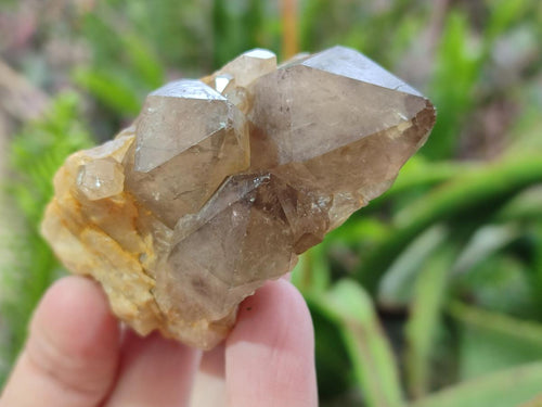 Natural Cascading Smokey Luena Citrine Quartz Crystals and Clusters x 35 From Luena, Congo - Toprock Gemstones and Minerals 