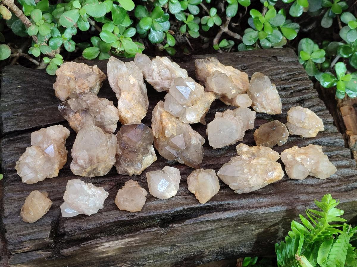 Natural Cascading Smokey Luena Citrine Quartz Crystals and Clusters x 35 From Luena, Congo - Toprock Gemstones and Minerals 