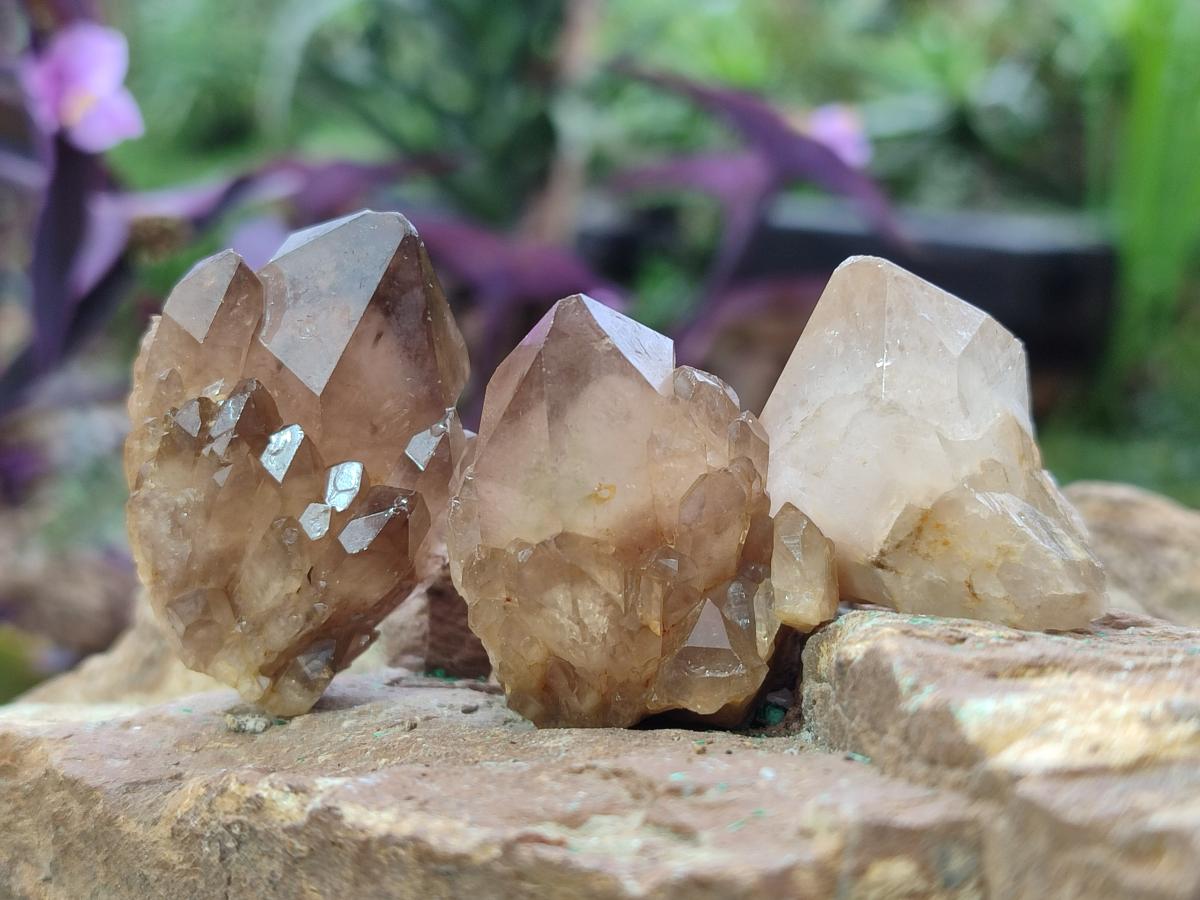 Natural Cascading Smokey Luena Citrine Quartz Crystals and Clusters x 35 From Luena, Congo - Toprock Gemstones and Minerals 