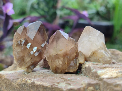 Natural Cascading Smokey Luena Citrine Quartz Crystals and Clusters x 35 From Luena, Congo - Toprock Gemstones and Minerals 