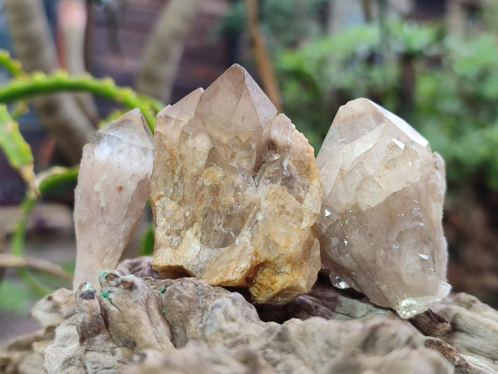 Natural Cascading Smokey Luena Citrine Quartz Crystals and Clusters x 35 From Luena, Congo - Toprock Gemstones and Minerals 