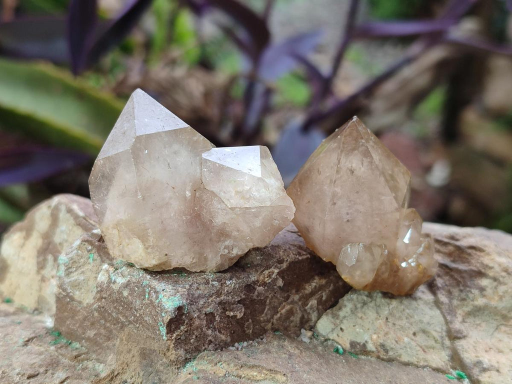Natural Cascading Smokey Luena Citrine Quartz Crystals and Clusters x 35 From Luena, Congo - Toprock Gemstones and Minerals 