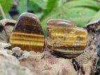 Polished Golden Tigers Eye Free Forms x 70 From Prieska, South Africa - Toprock Gemstones and Minerals 