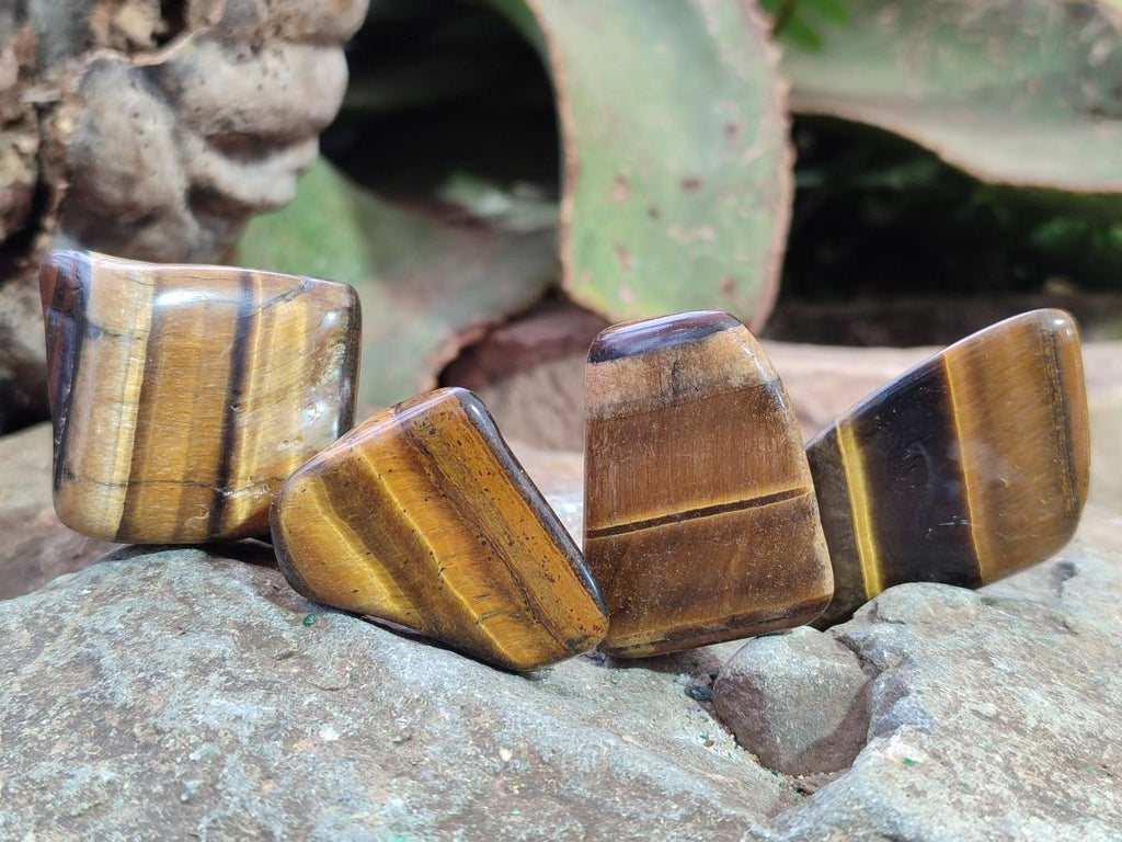 Polished Golden Tigers Eye Free Forms x 70 From Prieska, South Africa - Toprock Gemstones and Minerals 