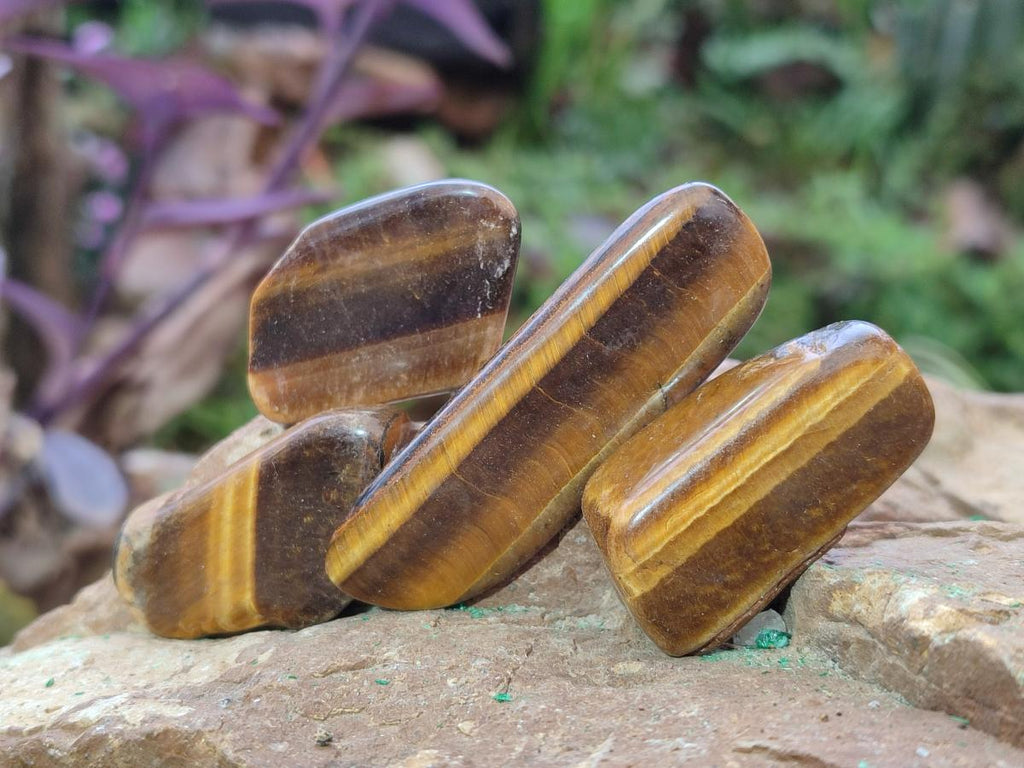 Polished Golden Tigers Eye Free Forms x 70 From Prieska, South Africa - Toprock Gemstones and Minerals 