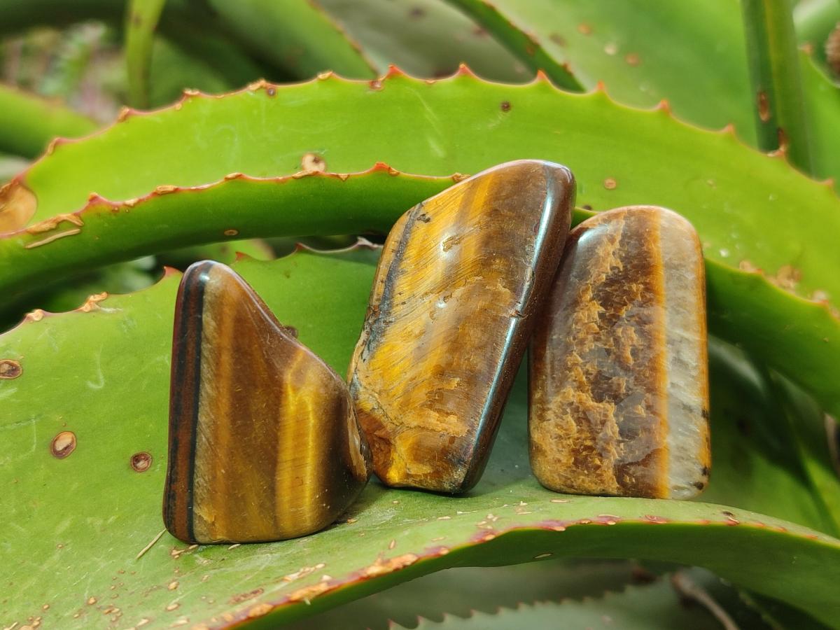 Polished Golden Tigers Eye Free Forms x 70 From Prieska, South Africa - Toprock Gemstones and Minerals 
