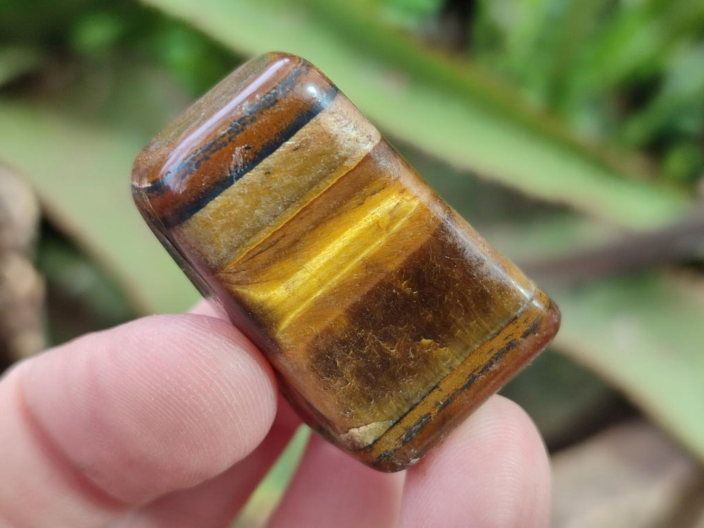 Polished Golden Tigers Eye Free Forms x 70 From Prieska, South Africa - Toprock Gemstones and Minerals 
