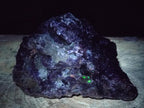 Natural Large Schorl Black Foitite Terminated Tourmaline Specimen with Yellow Muscovite Mica x 1 From Erongo, Namibia - Toprock Gemstones and Minerals 