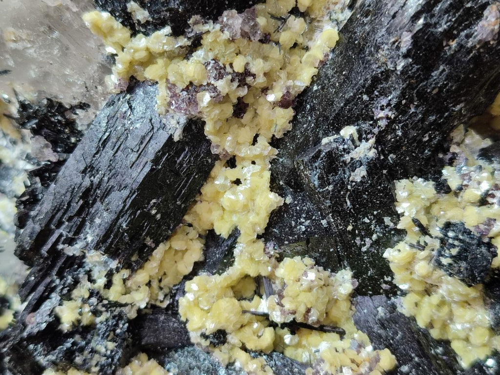 Natural Large Schorl Black Foitite Terminated Tourmaline Specimen with Yellow Muscovite Mica x 1 From Erongo, Namibia - Toprock Gemstones and Minerals 