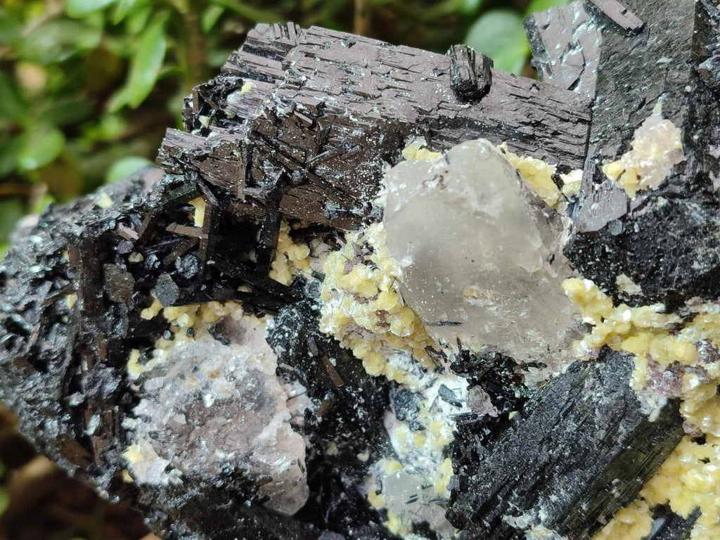 Natural Large Schorl Black Foitite Terminated Tourmaline Specimen with Yellow Muscovite Mica x 1 From Erongo, Namibia - Toprock Gemstones and Minerals 