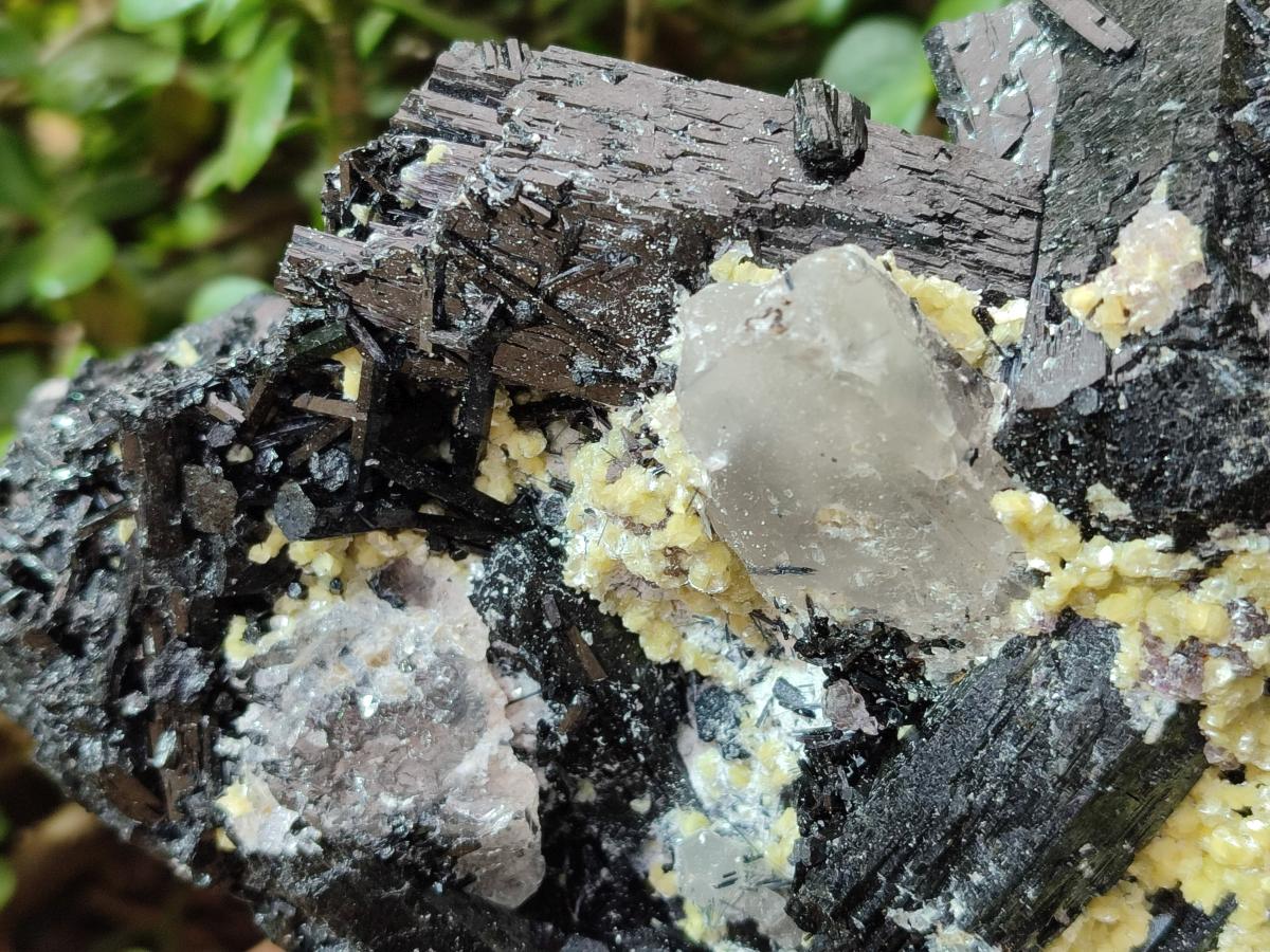Natural Large Schorl Black Foitite Terminated Tourmaline Specimen with Yellow Muscovite Mica x 1 From Erongo, Namibia - Toprock Gemstones and Minerals 