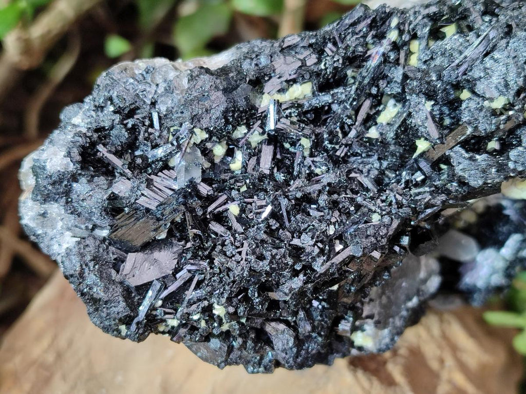 Natural Large Schorl Black Foitite Terminated Tourmaline Specimen with Yellow Muscovite Mica x 1 From Erongo, Namibia - Toprock Gemstones and Minerals 