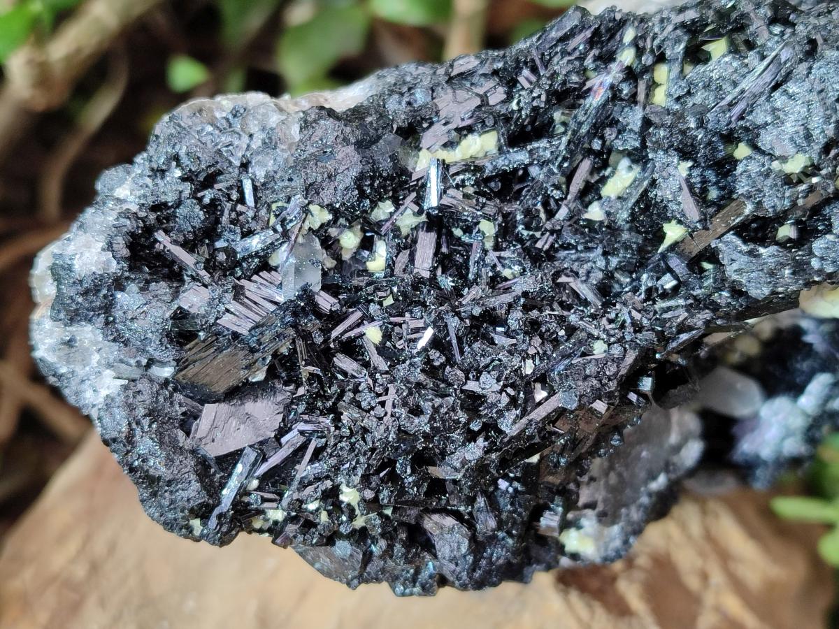Natural Large Schorl Black Foitite Terminated Tourmaline Specimen with Yellow Muscovite Mica x 1 From Erongo, Namibia - Toprock Gemstones and Minerals 