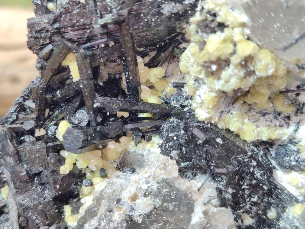Natural Large Schorl Black Foitite Terminated Tourmaline Specimen with Yellow Muscovite Mica x 1 From Erongo, Namibia - Toprock Gemstones and Minerals 
