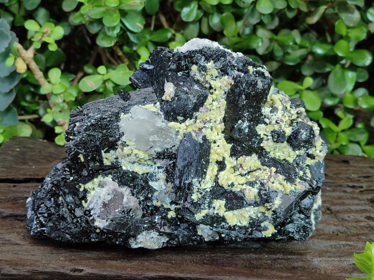 Natural Large Schorl Black Foitite Terminated Tourmaline Specimen with Yellow Muscovite Mica x 1 From Erongo, Namibia - Toprock Gemstones and Minerals 