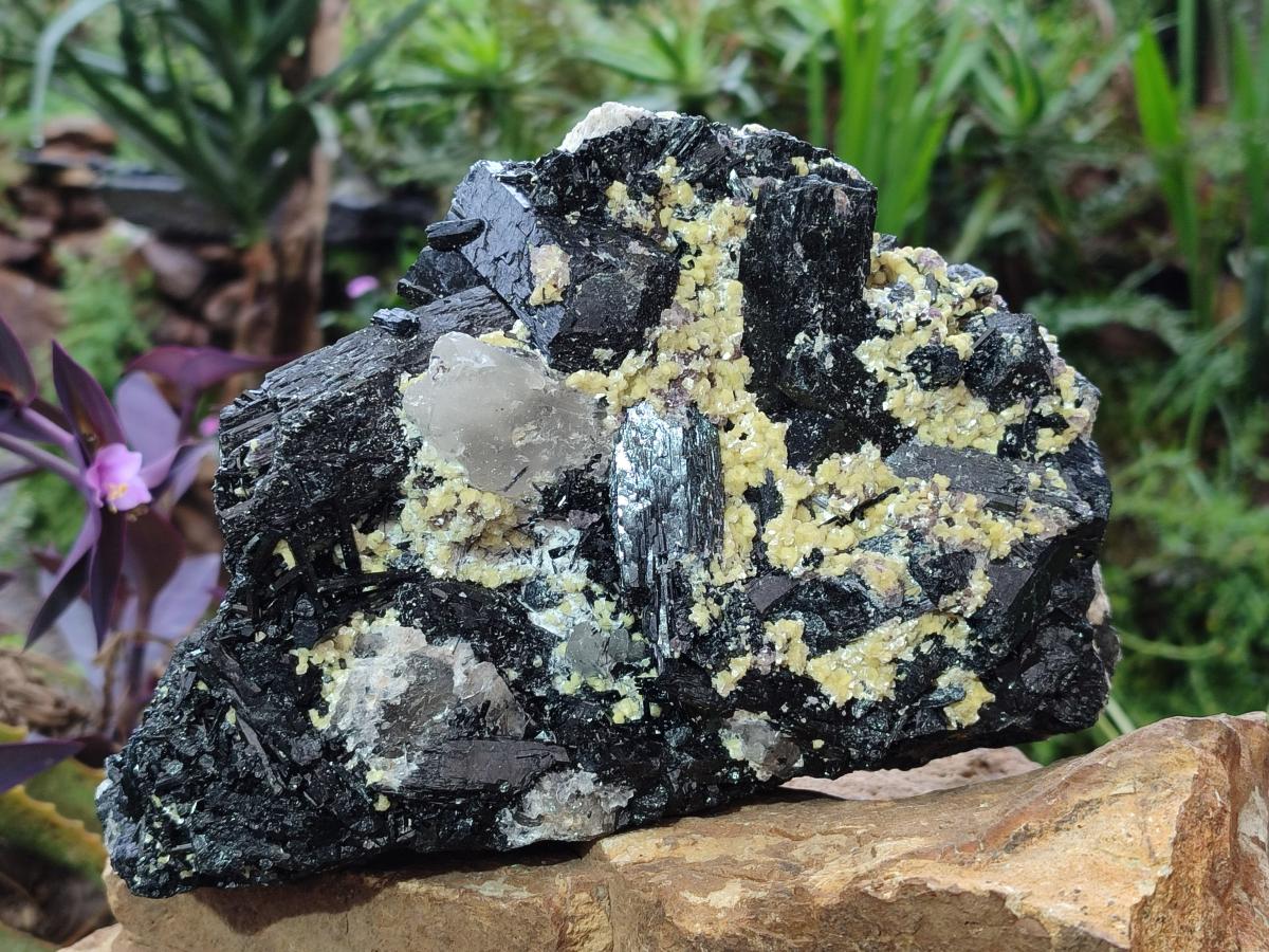 Natural Large Schorl Black Foitite Terminated Tourmaline Specimen with Yellow Muscovite Mica x 1 From Erongo, Namibia - Toprock Gemstones and Minerals 