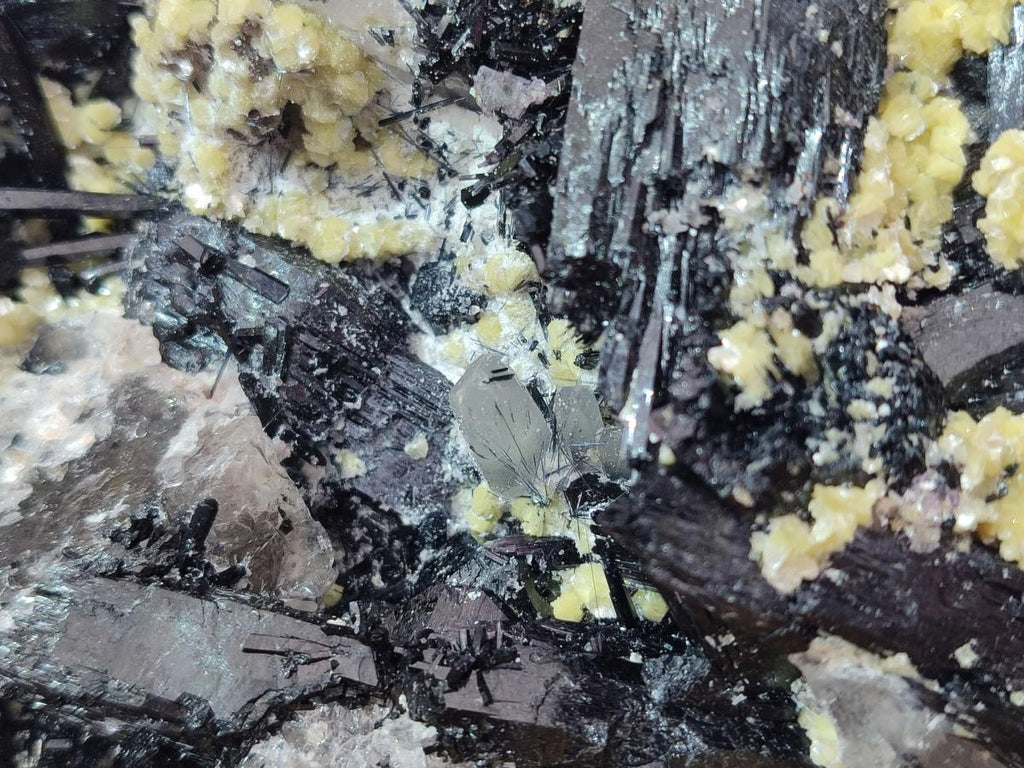 Natural Large Schorl Black Foitite Terminated Tourmaline Specimen with Yellow Muscovite Mica x 1 From Erongo, Namibia - Toprock Gemstones and Minerals 