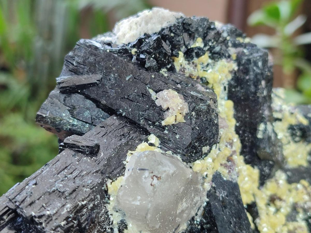 Natural Large Schorl Black Foitite Terminated Tourmaline Specimen with Yellow Muscovite Mica x 1 From Erongo, Namibia - Toprock Gemstones and Minerals 