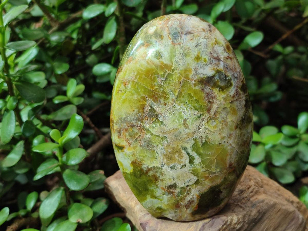 Polished Green Opal Standing Display Pieces x 3 From Betroka, Madagascar - Toprock Gemstones and Minerals 