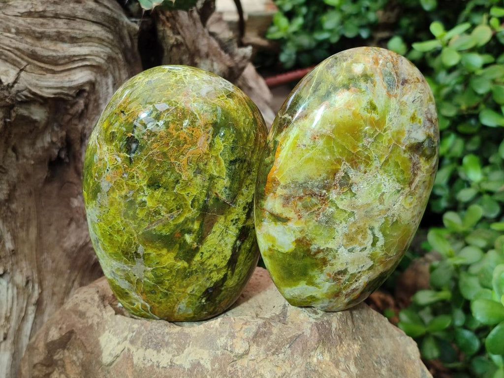 Polished Green Opal Standing Display Pieces x 3 From Betroka, Madagascar - Toprock Gemstones and Minerals 