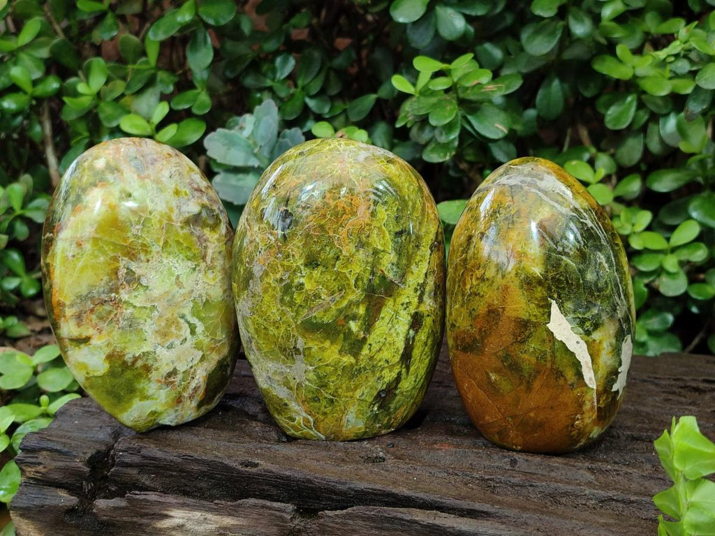 Polished Green Opal Standing Display Pieces x 3 From Betroka, Madagascar - Toprock Gemstones and Minerals 
